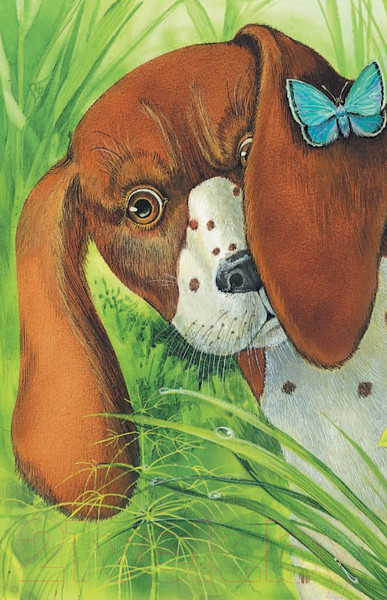 Изображение товара Художественная книга Эксмо Про птиц и зверей (Пришвин М.)