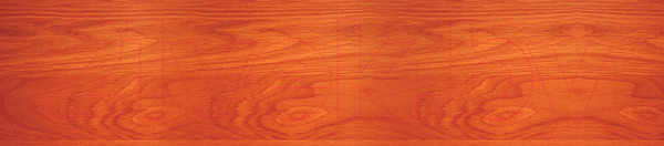 Изображение товара Пропитка для дерева Drewnochron Пленкообразующая (9л, кедр)