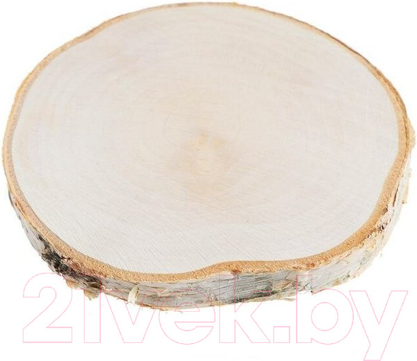 Изображение товара Набор для выжигания Десятое королевство На спиле дерева / 04129