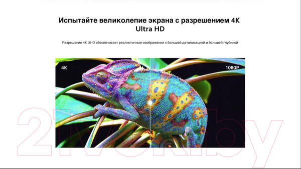 Изображение товара Телевизор Xiaomi Mi TV P1 55 L55M6-6AEU/ELA4612EU