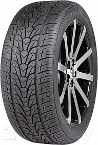 Изображение товара Летняя шина Nexen Roadian HP 305/40R22 114V