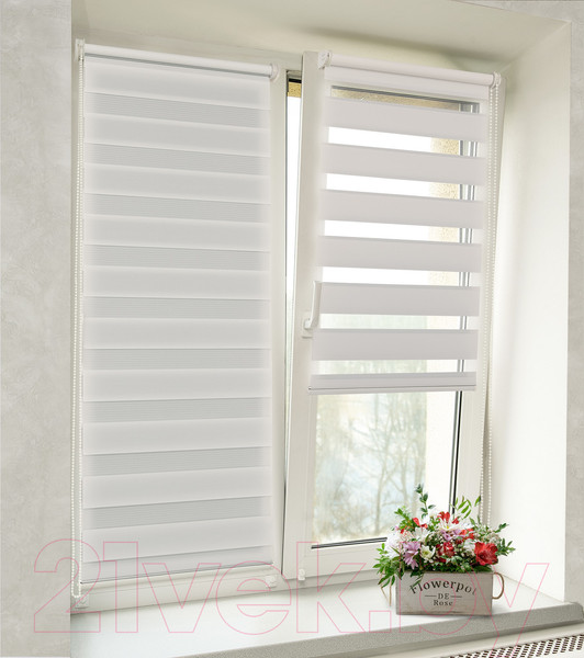 Изображение товара Рулонная штора Delfa Сантайм День-Ночь Стандарт МКД DN-40609 (48x160, белый)