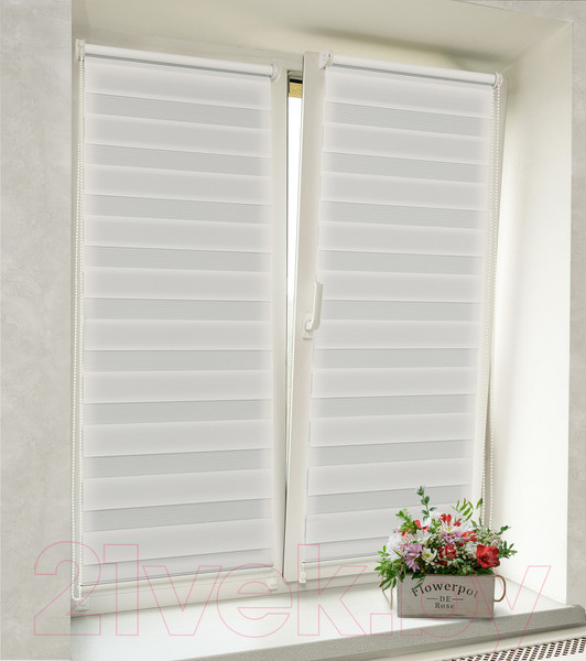 Изображение товара Рулонная штора Delfa Сантайм День-Ночь Стандарт МКД DN-40609 (48x160, белый)