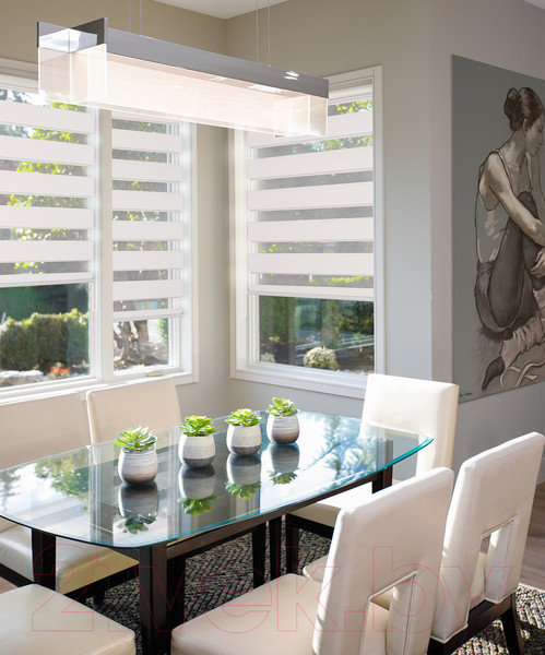 Изображение товара Рулонная штора Delfa Сантайм День-Ночь Стандарт МКД DN-40609 (68x215, белый)