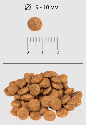 Изображение товара Сухой корм для собак Blitz Pets Classic Adult Mini&Toy / 4158 (7кг)