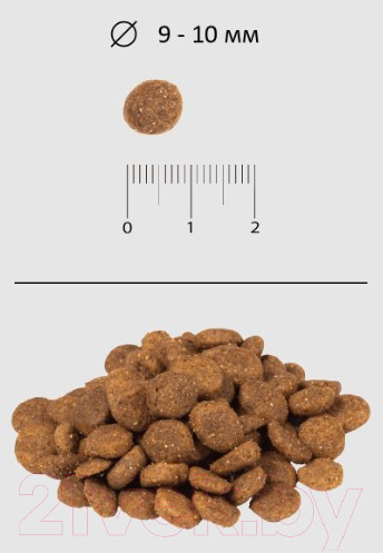 Изображение товара Сухой корм для собак Blitz Pets Puppy Lamb & Rice / 4225 (15кг)