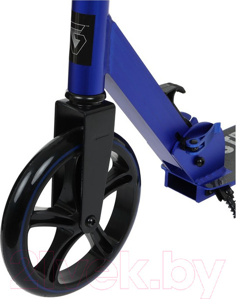 Изображение товара Самокат городской Graffiti ABEC 9 / 7350709 (синий)