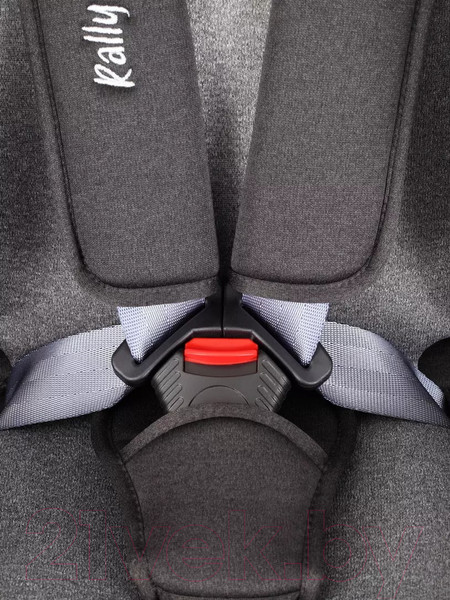 Изображение товара Автокресло Rant Basic Rally / ZY19 (серый)