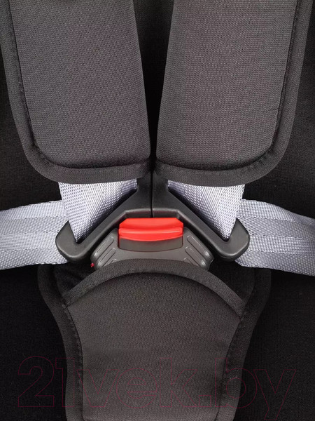 Изображение товара Автокресло Rant Basic Spark / ZY10 (черный)