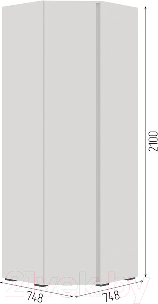 Изображение товара Шкаф Стендмебель Хелен ШК 04 угловой (белый/белый)