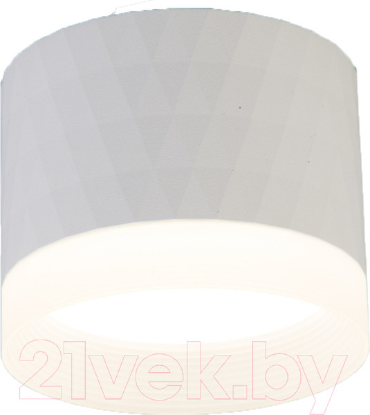 Изображение товара Светильник ЭРА OL37 WH / Б0056385