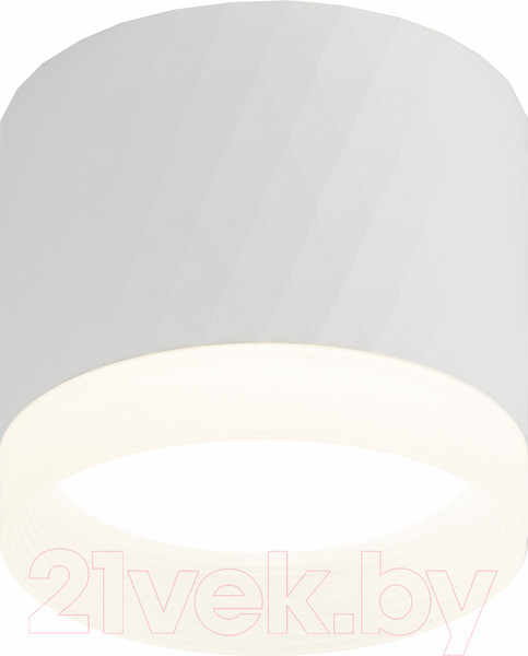 Изображение товара Светильник ЭРА OL37 WH / Б0056385