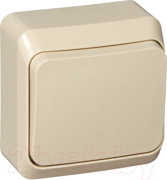 Изображение товара Выключатель Systeme (Schneider) Electric Этюд BA10-004K