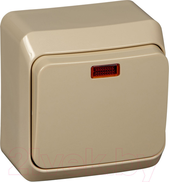 Изображение товара Выключатель Systeme (Schneider) Electric Этюд BA10-005K