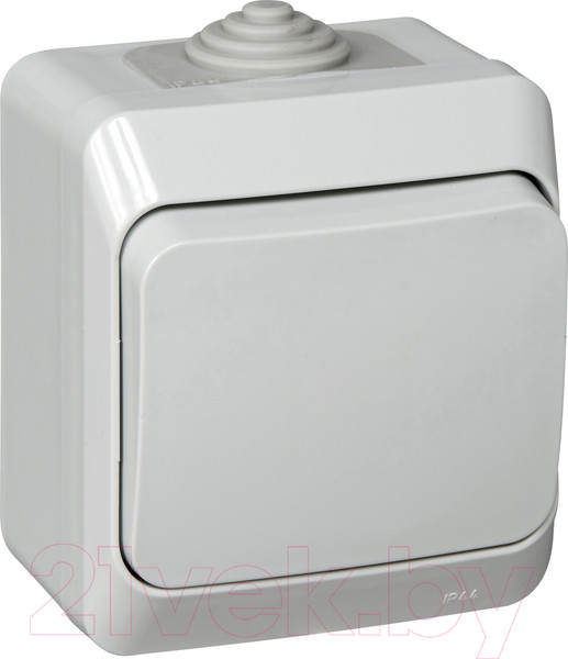 Изображение товара Выключатель Systeme (Schneider) Electric Этюд BA10-041C