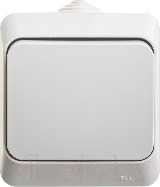 Изображение товара Выключатель Systeme (Schneider) Electric Этюд BA10-046C