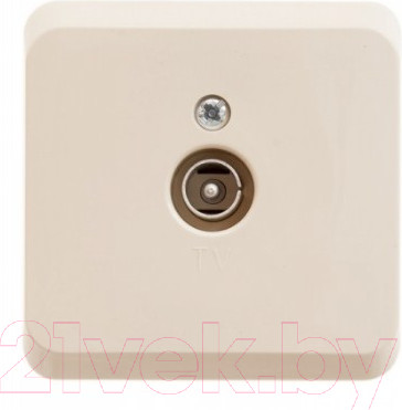 Изображение товара Розетка Systeme (Schneider) Electric Этюд TVA-002K