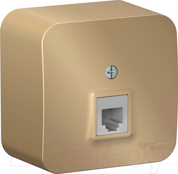 Изображение товара Розетка Systeme (Schneider) Electric Blanca BLNIA011004