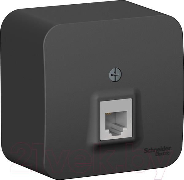 Изображение товара Розетка Systeme (Schneider) Electric Blanca BLNIA011006