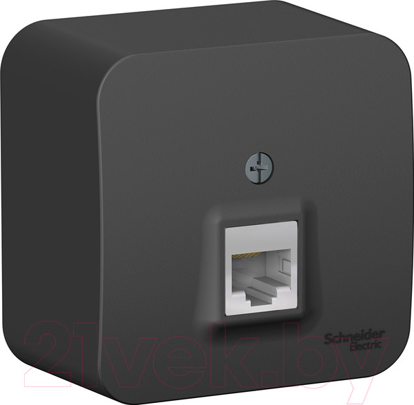 Изображение товара Розетка Systeme (Schneider) Electric Blanca BLNIA045006