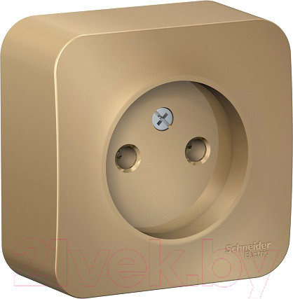 Изображение товара Розетка Systeme (Schneider) Electric Blanca BLNRA000114