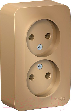 Изображение товара Розетка Systeme (Schneider) Electric Blanca BLNRA000214