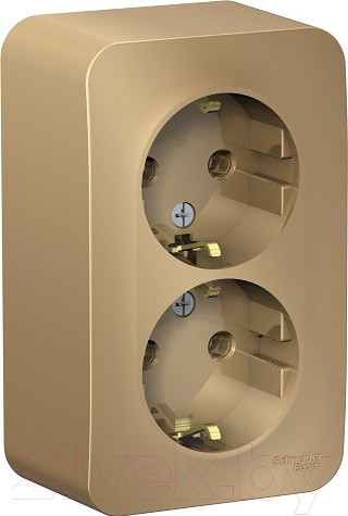 Изображение товара Розетка Systeme (Schneider) Electric Blanca BLNRA010214