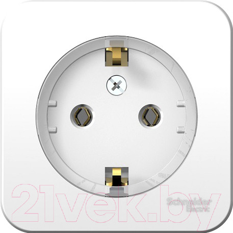 Изображение товара Розетка Systeme (Schneider) Electric Blanca BLNRA110111