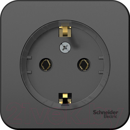 Изображение товара Розетка Systeme (Schneider) Electric Blanca BLNRA110116