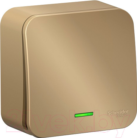 Изображение товара Выключатель Systeme (Schneider) Electric Blanca BLNVA101114