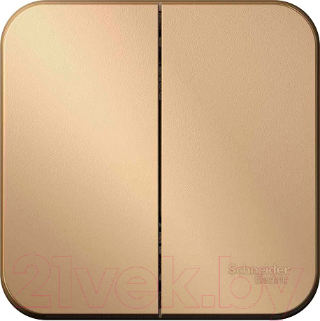 Изображение товара Выключатель Systeme (Schneider) Electric Blanca BLNVA105014