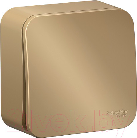 Изображение товара Выключатель Systeme (Schneider) Electric Blanca BLNVA106014