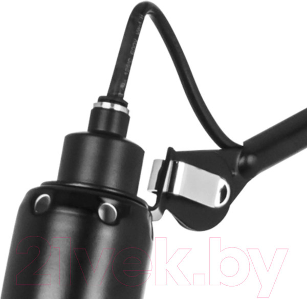 Изображение товара Торшер Lightstar Loft 765717