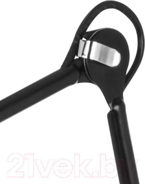 Изображение товара Торшер Lightstar Loft 765717