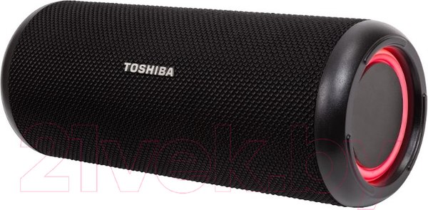Изображение товара Портативная акустика Toshiba TY-WSP201