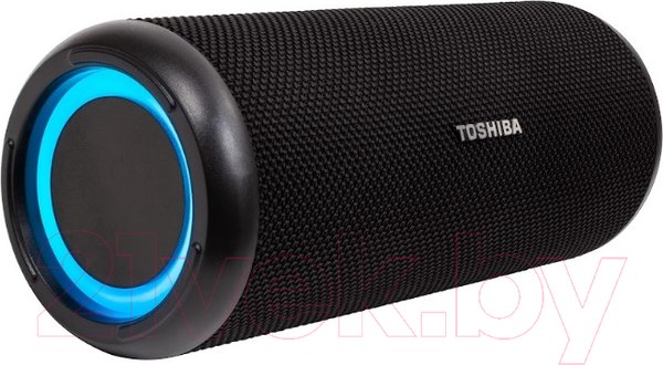 Изображение товара Портативная акустика Toshiba TY-WSP201