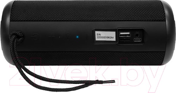 Изображение товара Портативная акустика Toshiba TY-WSP201