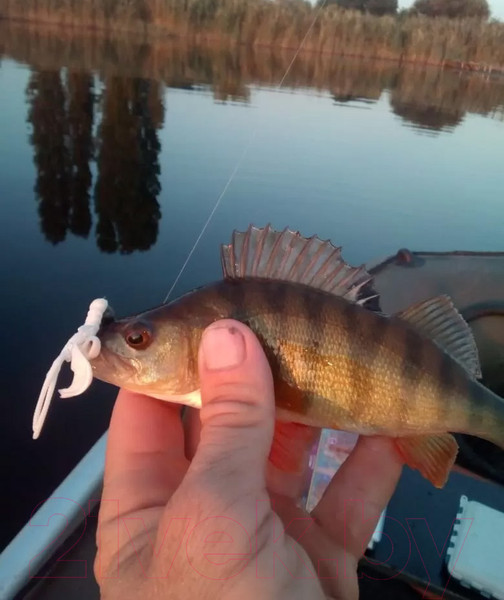 Изображение товара Мягкая приманка Crazy Fish Nimble / 49-40-59-6