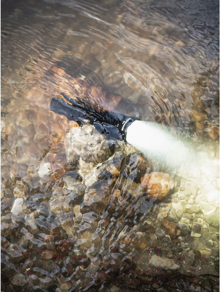 Изображение товара Фонарь Armytek Dobermann Pro Magnet USB Warm / F07501WO