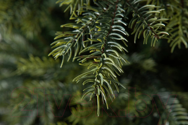 Изображение товара Ель искусственная GreenTerra Орлеан (2.2м)