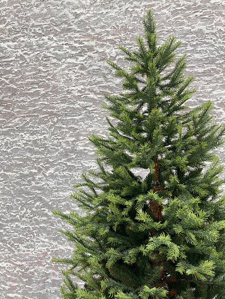 Изображение товара Ель искусственная GreenTerra Орлеан (2.2м)