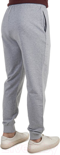 Изображение товара Брюки спортивные FHM Wave Jogger V2 8705 (M, светло-серый)