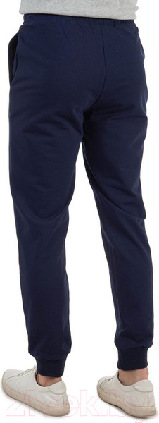 Изображение товара Брюки спортивные FHM Wave Jogger V2 8715 (XL, синий)