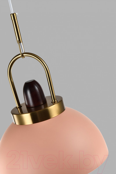 Изображение товара Потолочный светильник Moderli Ravenna / V10449-1P