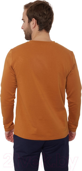 Изображение товара Лонгслив спортивный FHM Wave Terry 425 (2XL, терракотовый)