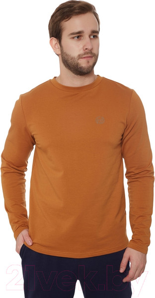 Изображение товара Лонгслив спортивный FHM Wave Terry 427 (4XL, терракотовый)