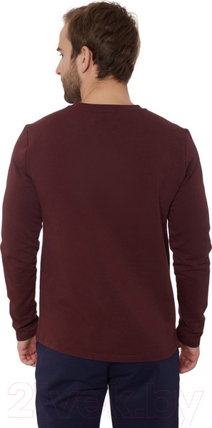 Изображение товара Лонгслив спортивный FHM Wave Terry V2 8644 (2XL, бордовый)