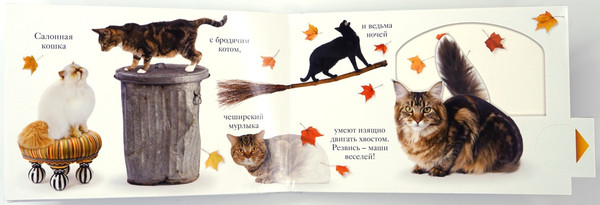 Изображение товара Книжка-панорамка Махаон Мяу, твердая обложка (Ван Флит Мэтью)