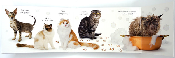 Изображение товара Книжка-панорамка Махаон Мяу, твердая обложка (Ван Флит Мэтью)