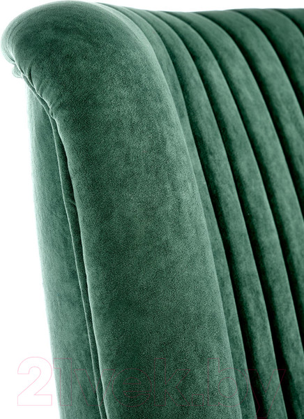 Изображение товара Кресло мягкое Halmar Delgado (темно-зеленый/черный)